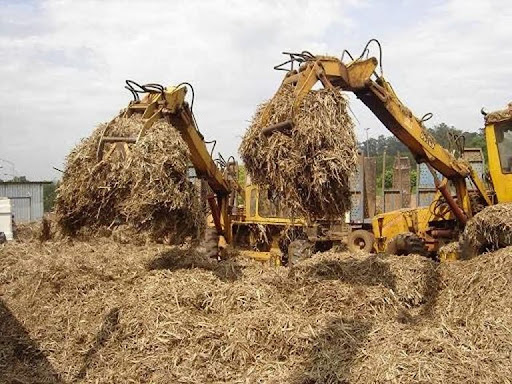 Resíduos Agroindustriais